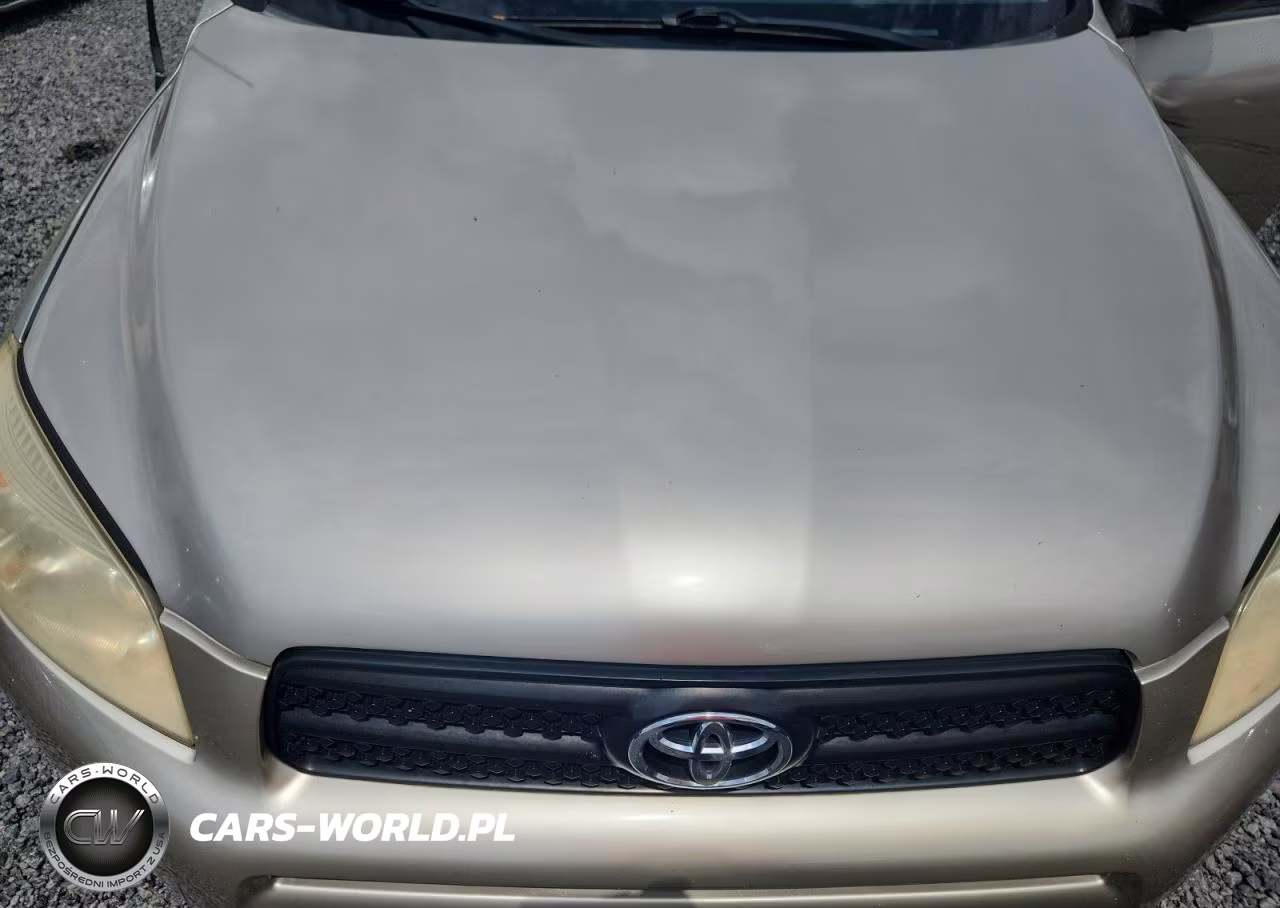 2007 Toyota Rav4 Base VIN:JTMBD33V676034960 - 12