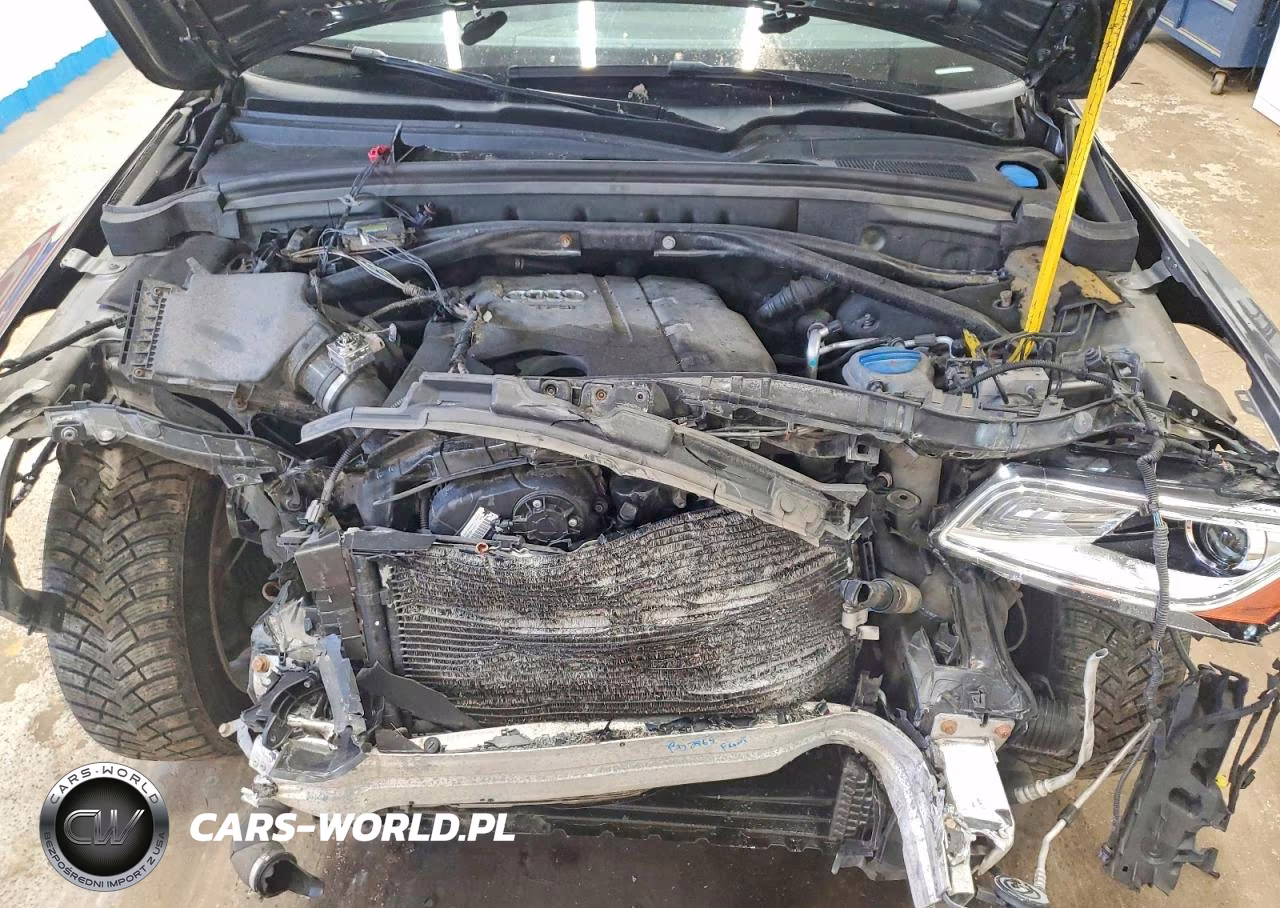 2013 Audi Q5 Premium Plus VIN:WA1LFAFPXDA065387 - 12