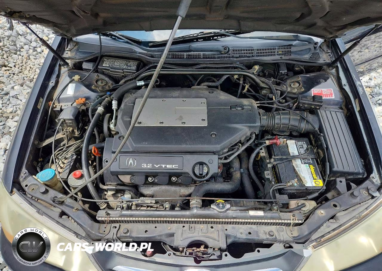 2002 Acura 3.2Tl VIN:19UUA56672A023846 - 11