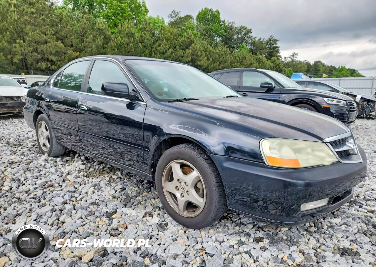 2002 Acura 3.2Tl VIN:19UUA56672A023846 - 4
