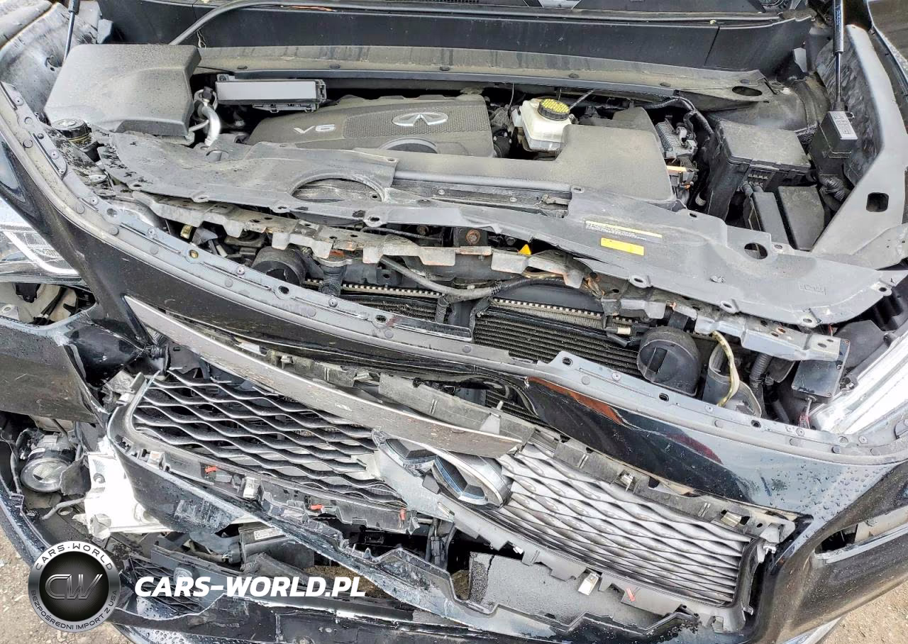 2019 Infiniti Qx60 Luxe VIN:5N1DL0MM7KC518724 - 12