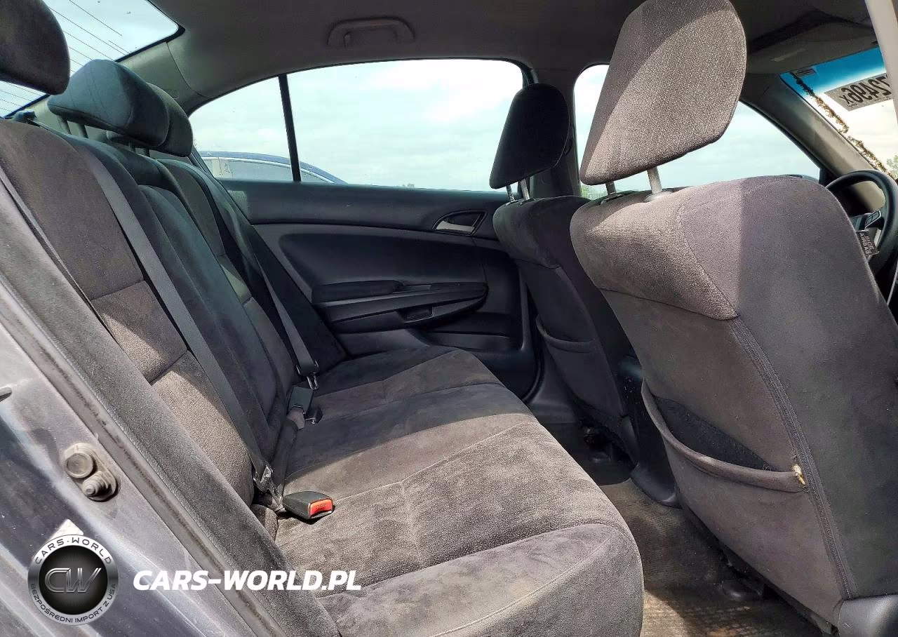 2010 Honda Accord Lxp VIN:1HGCP2F43AA056655 - 10