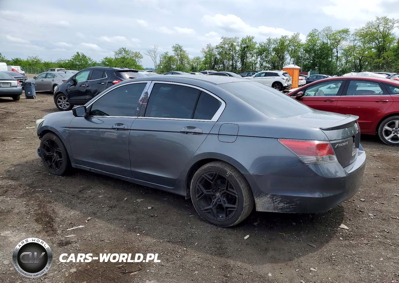 2010 Honda Accord Lxp VIN:1HGCP2F43AA056655 - 2