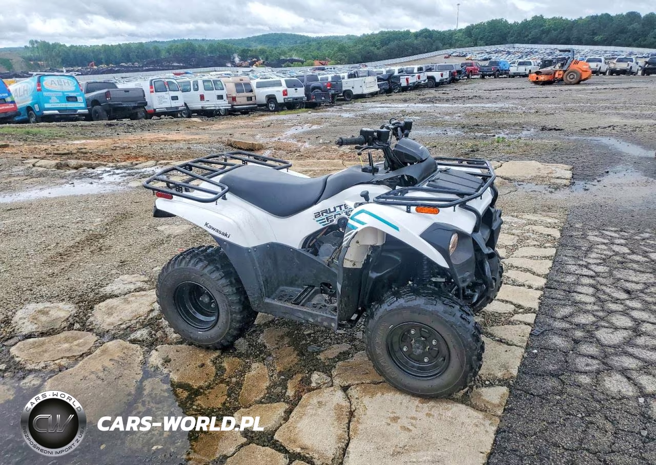 2023 Kawasaki Brute Force 300 Atv – zdjęcie 1 z 10