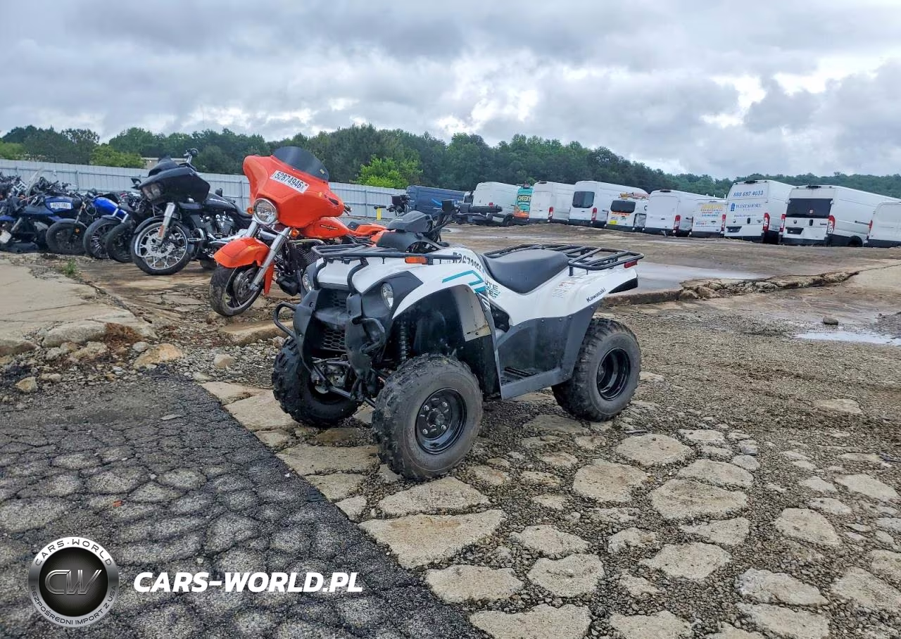 2023 Kawasaki Brute Force 300 Atv VIN:RGSWM22A7PBK33488 - 10