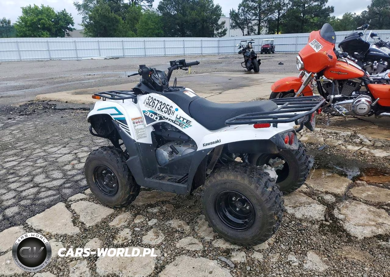 2023 Kawasaki Brute Force 300 Atv VIN:RGSWM22A7PBK33488 - 3