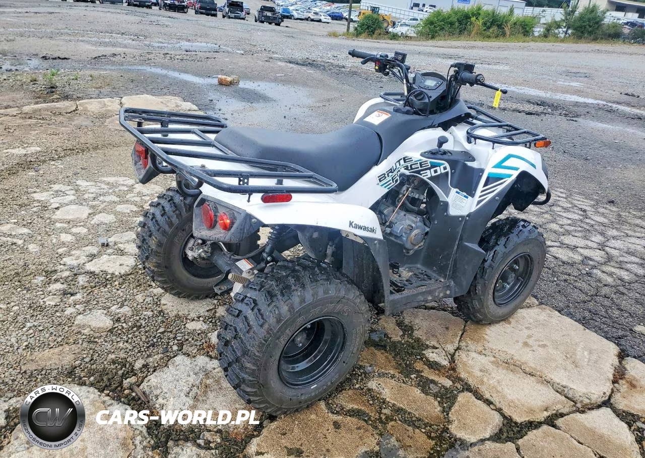 2023 Kawasaki Brute Force 300 Atv VIN:RGSWM22A7PBK33488 - 4