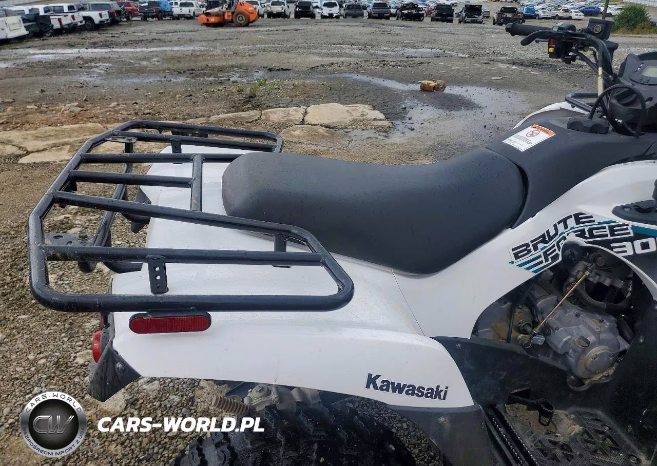 2023 Kawasaki Brute Force 300 Atv VIN:RGSWM22A7PBK33488 - 6