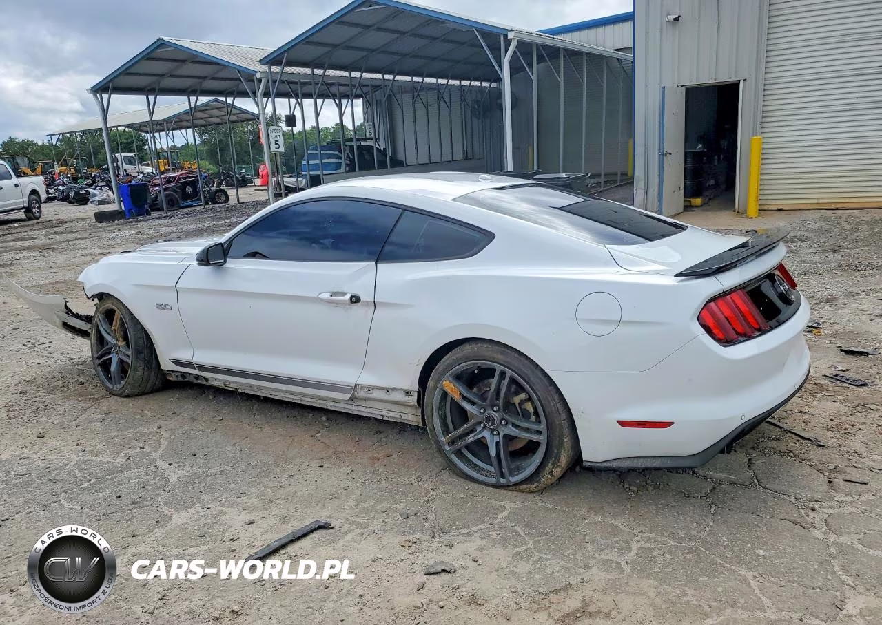2017 Ford Mustang Gt VIN:1FA6P8CF3H5330921 - 2