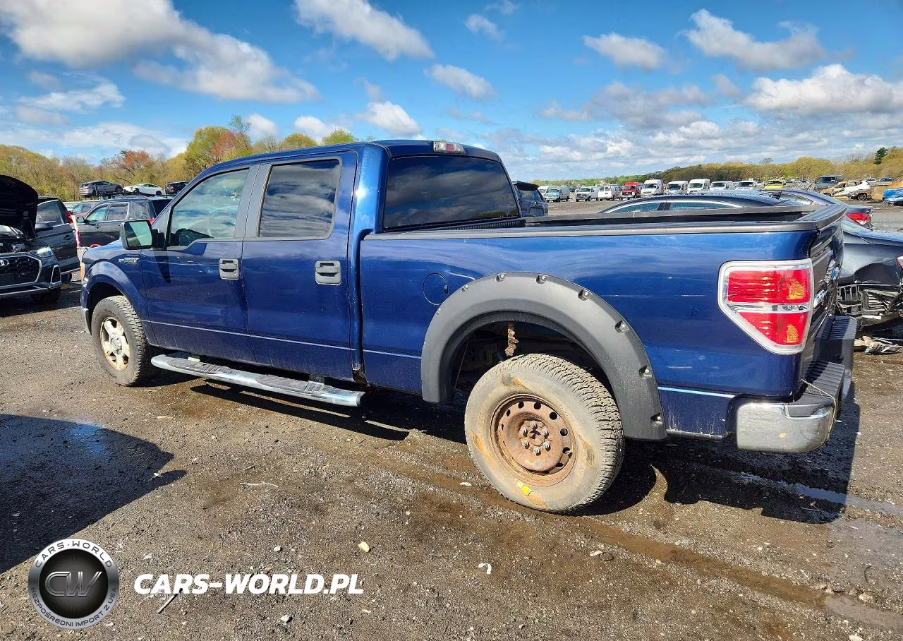 2010 Ford F150 Supercrew VIN:1FTFW1E83AFA13711 - 2
