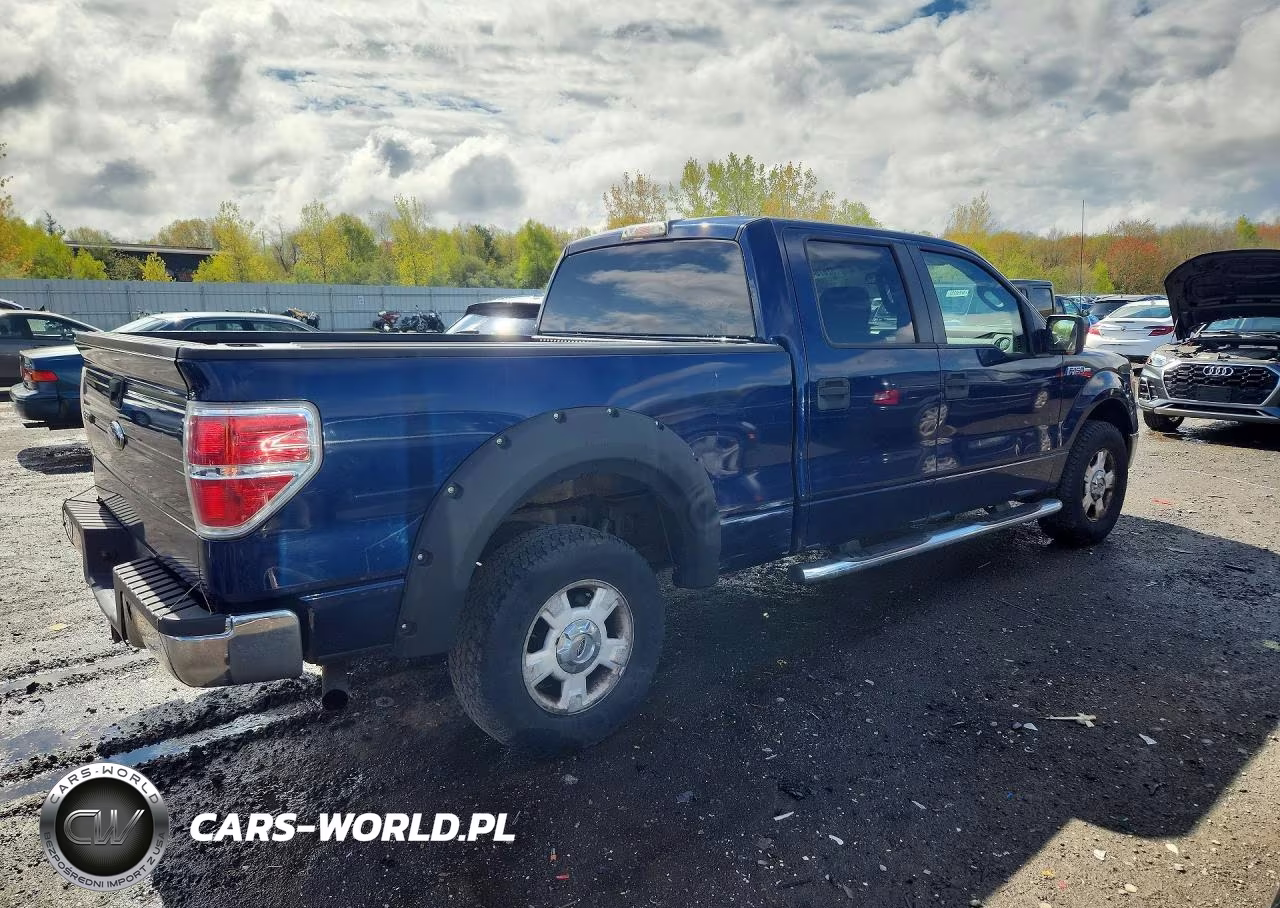2010 Ford F150 Supercrew VIN:1FTFW1E83AFA13711 - 3