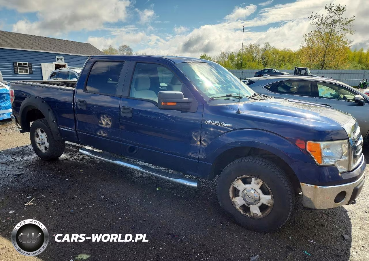 2010 Ford F150 Supercrew VIN:1FTFW1E83AFA13711 - 4