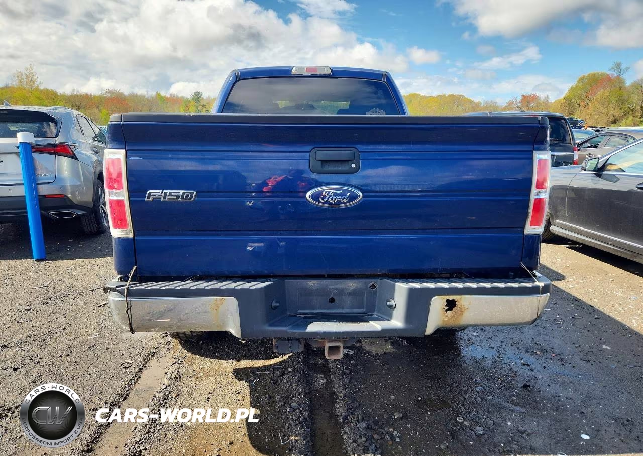 2010 Ford F150 Supercrew VIN:1FTFW1E83AFA13711 - 6
