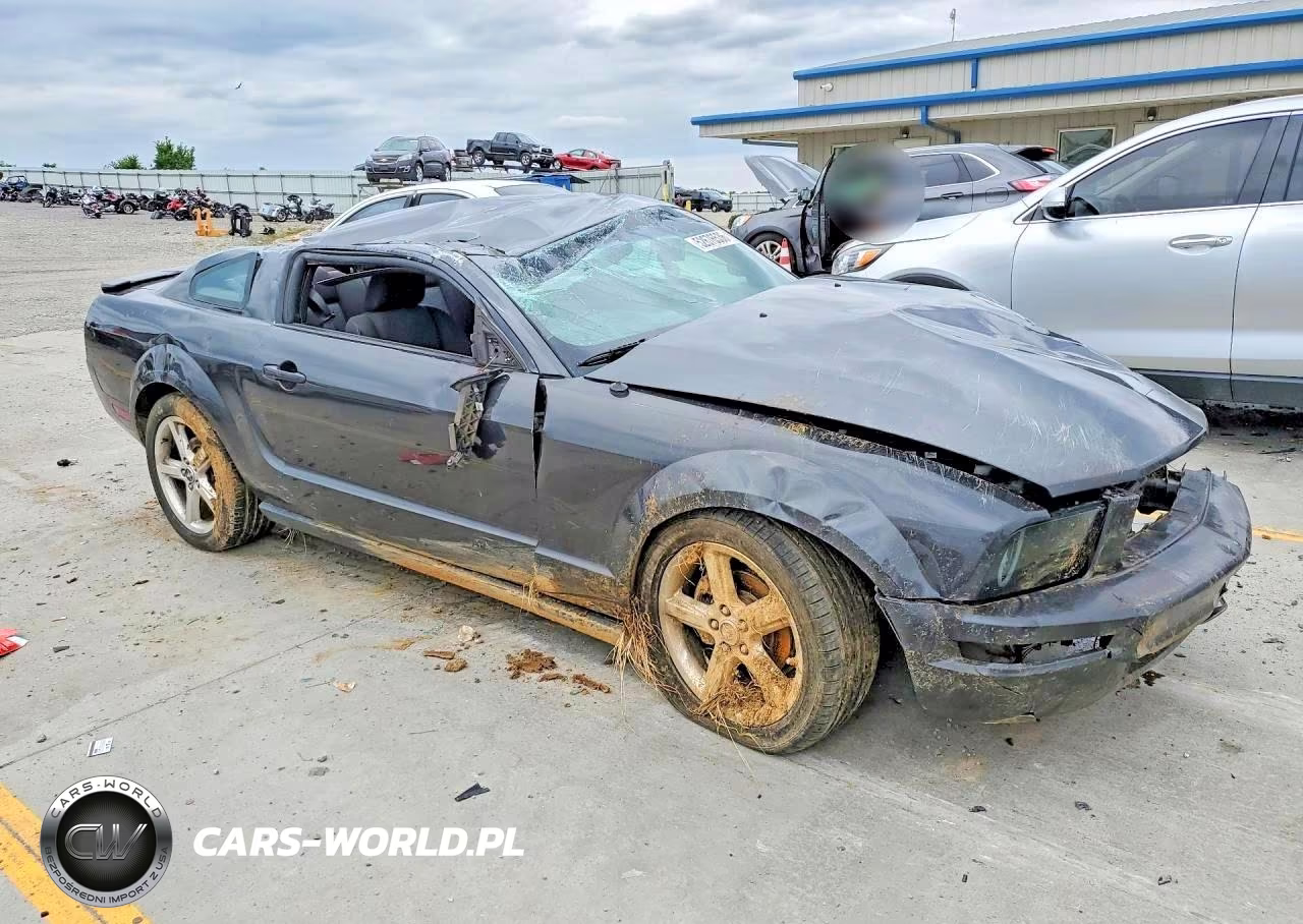 2008 Ford Mustang VIN:1ZVHT80N985146915 - 4
