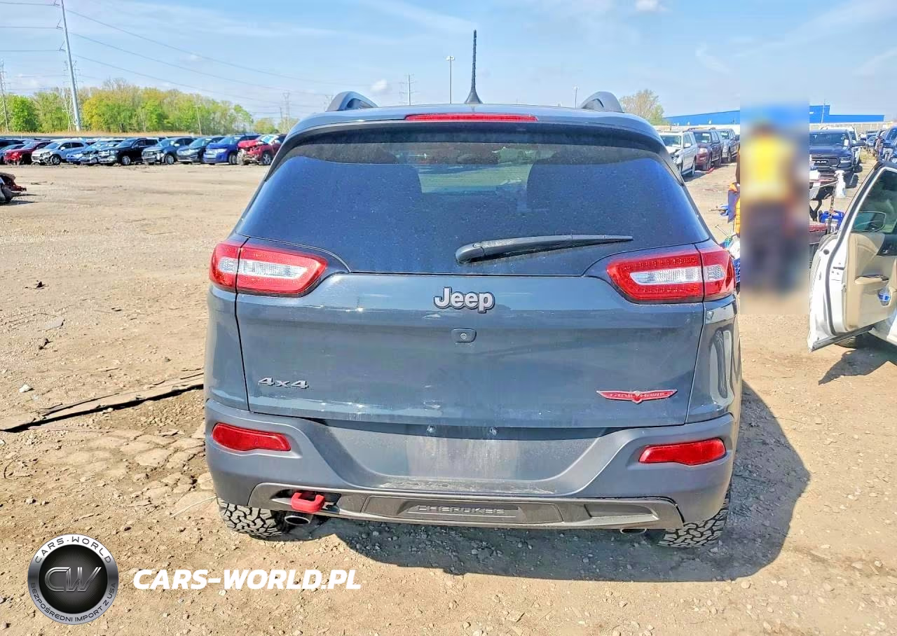 2016 Jeep Cherokee Trailhawk VIN:1C4PJMBS4GW360266 - 6