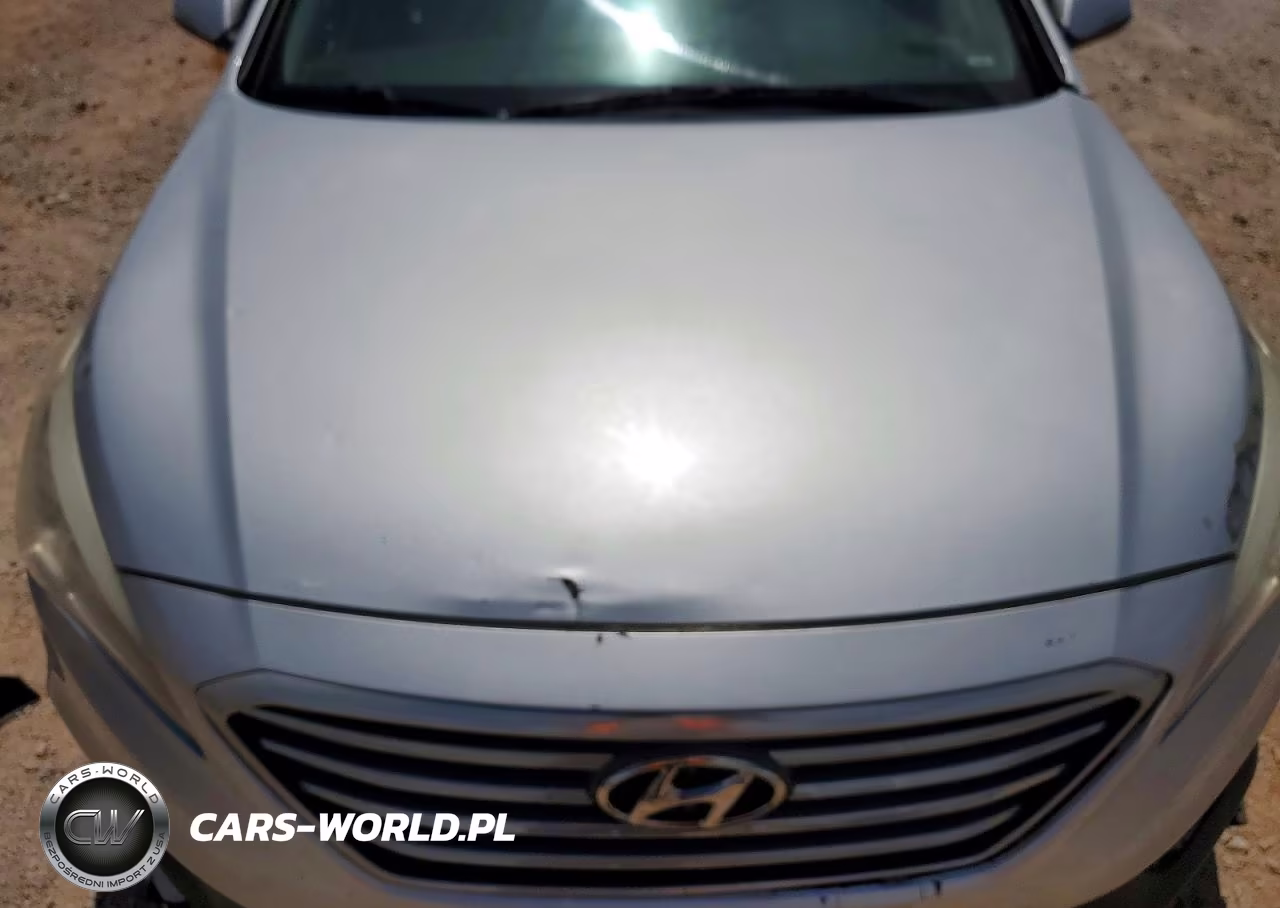 2015 Hyundai Sonata Sport VIN:5NPE34AF4FH114795 - 11