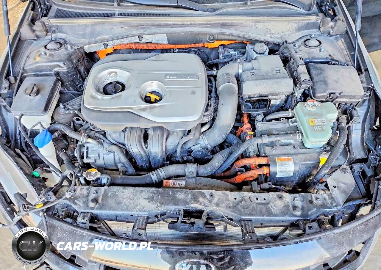 2020 Kia Optima VIN:KNAGU4LE7L5044812 - 11