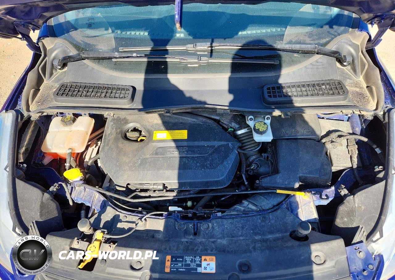 2016 Ford Escape Se VIN:1FMCU0GX2GUC07072 - 12