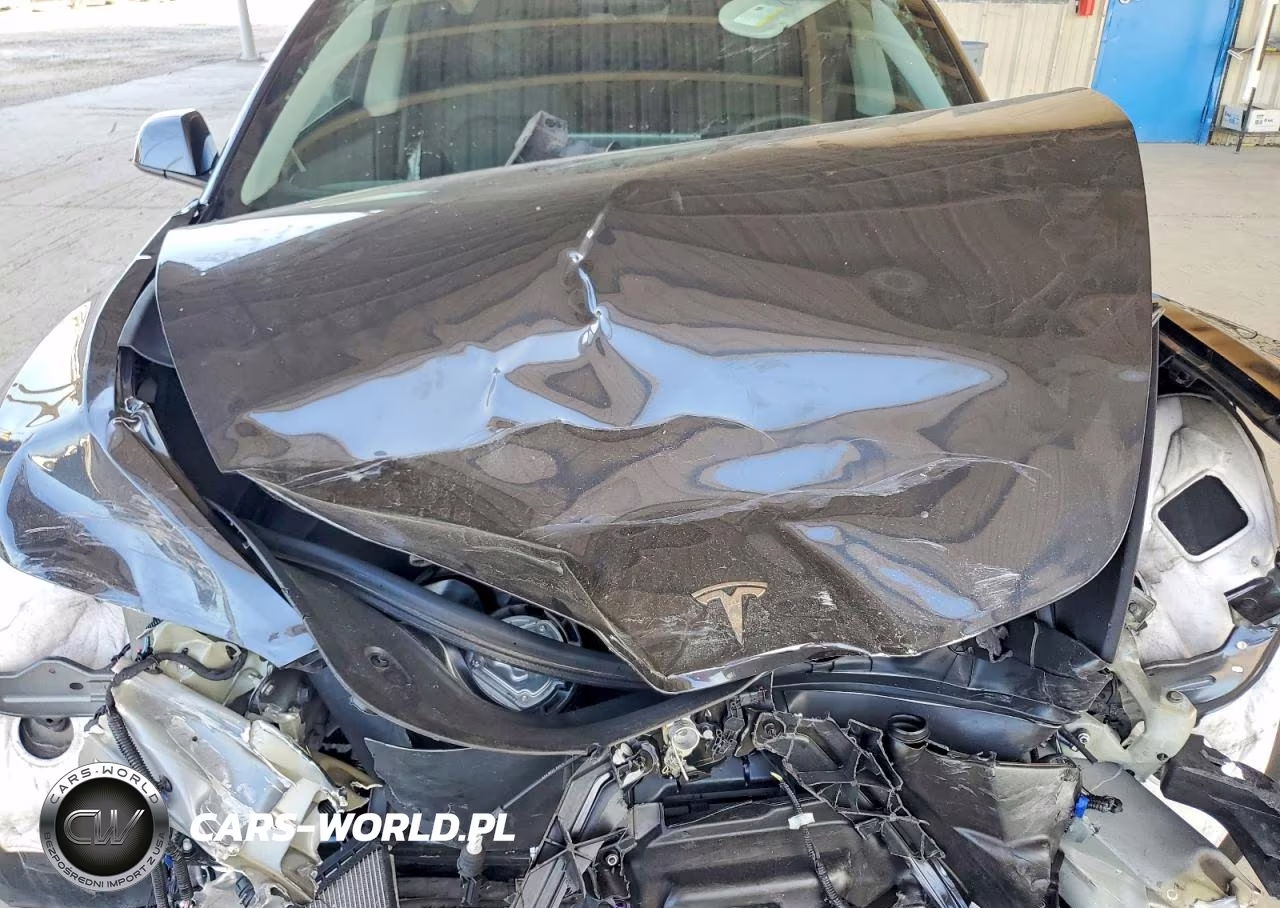 2025 Tesla Model 3 VIN:5YJ3E1EA4SF895034 - 11