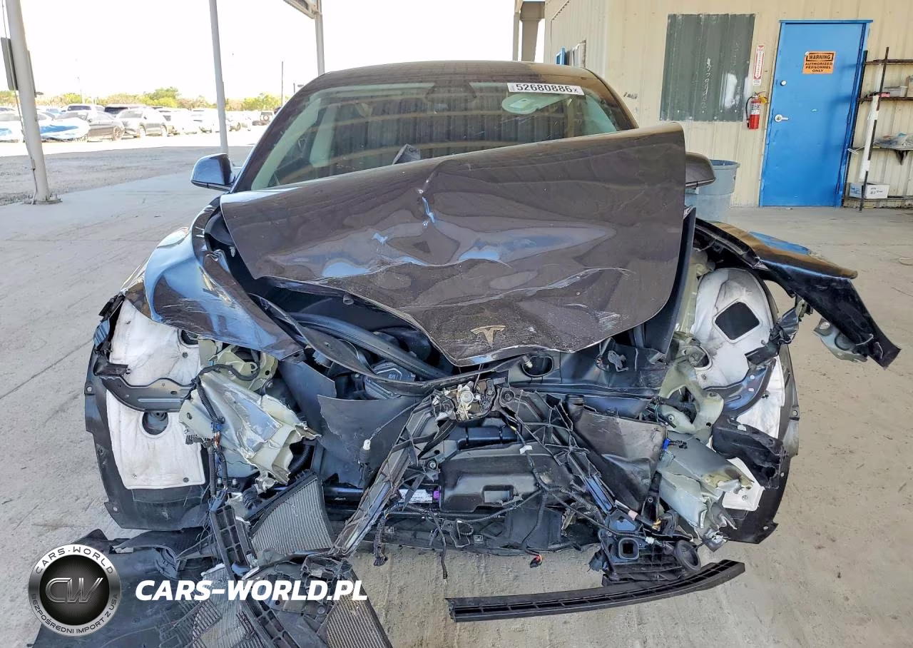 2025 Tesla Model 3 VIN:5YJ3E1EA4SF895034 - 5