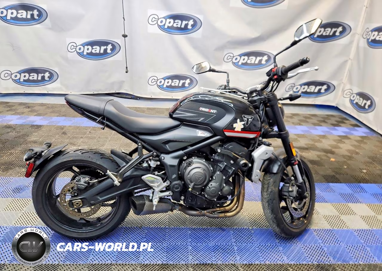 2024 Triumph Motorcycle Trident 660