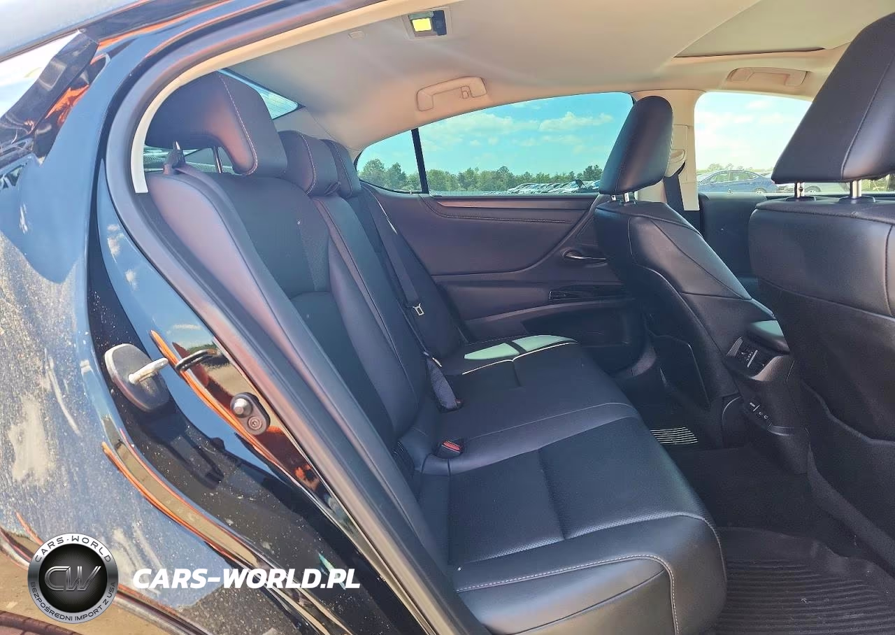 2022 Lexus Es 350 Base VIN:58ADZ1B12NU137674 - 10