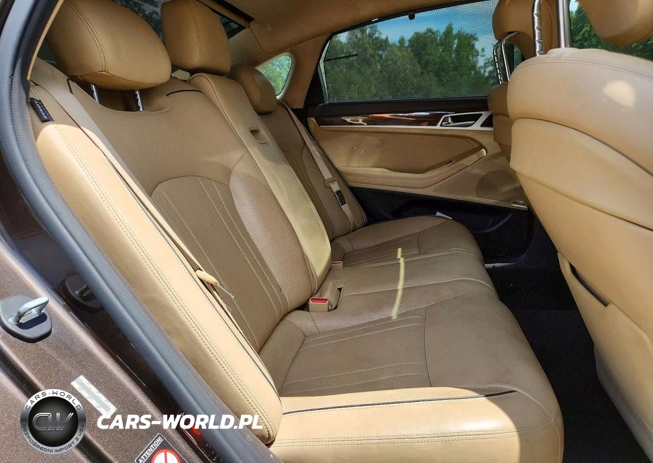 2015 Hyundai Genesis 3.8L VIN:KMHGN4JE7FU024004 - 10