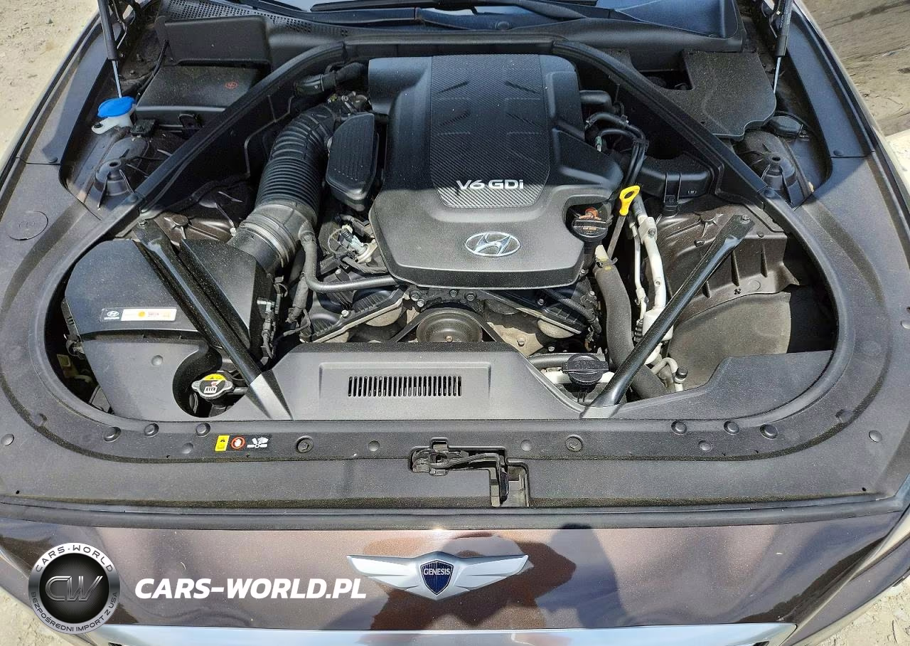 2015 Hyundai Genesis 3.8L VIN:KMHGN4JE7FU024004 - 11