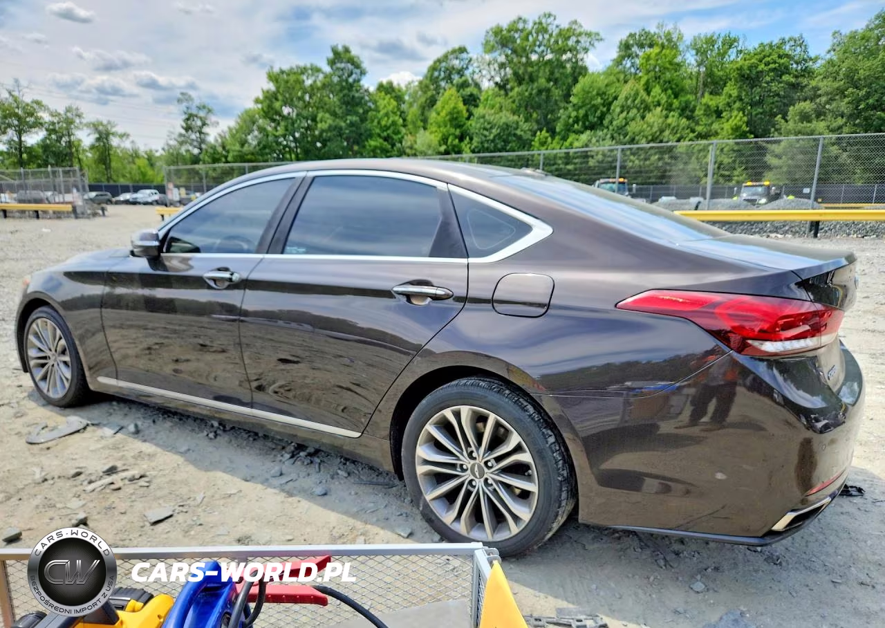 2015 Hyundai Genesis 3.8L VIN:KMHGN4JE7FU024004 - 2