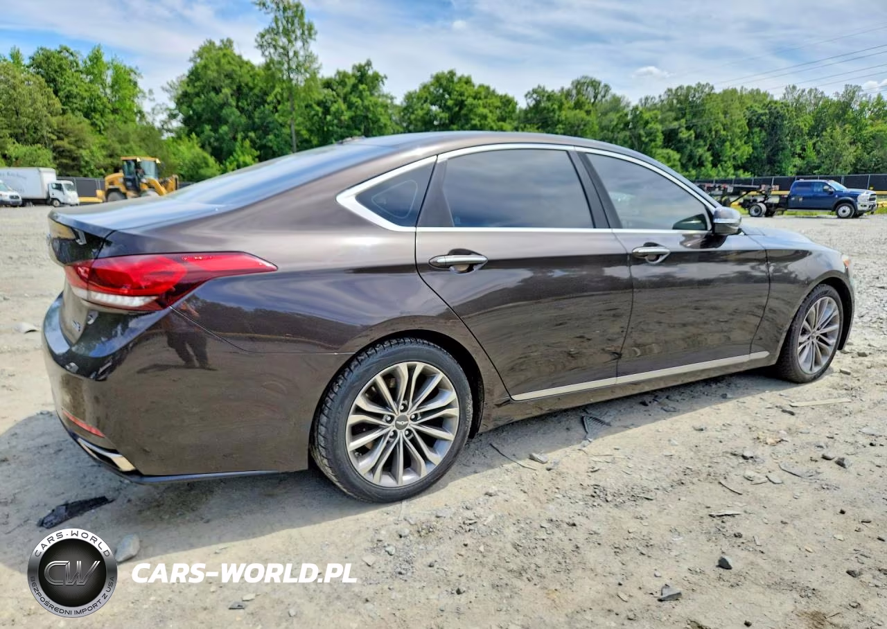 2015 Hyundai Genesis 3.8L VIN:KMHGN4JE7FU024004 - 3