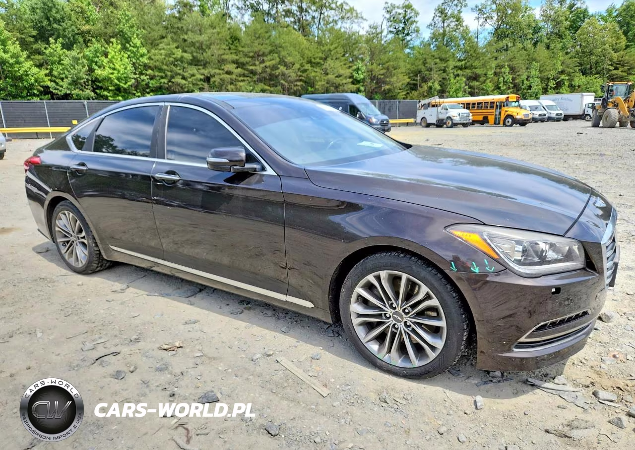 2015 Hyundai Genesis 3.8L VIN:KMHGN4JE7FU024004 - 4
