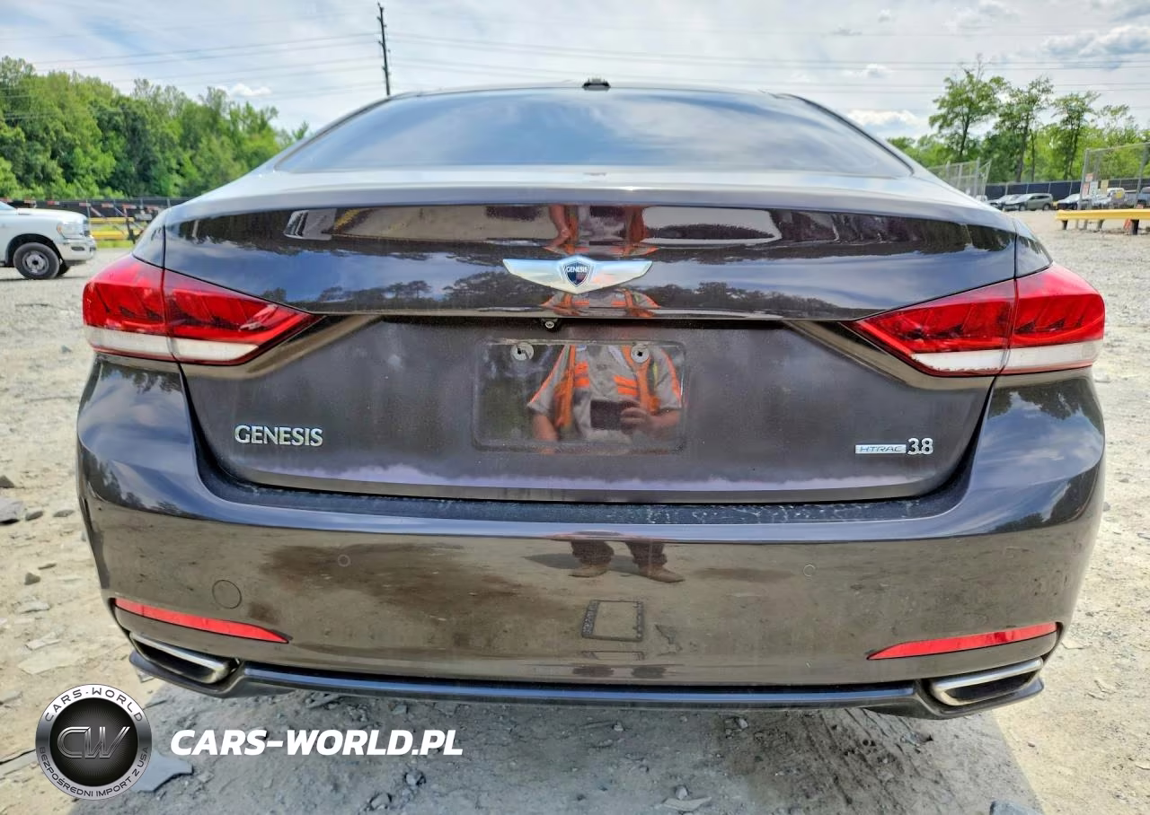 2015 Hyundai Genesis 3.8L VIN:KMHGN4JE7FU024004 - 6