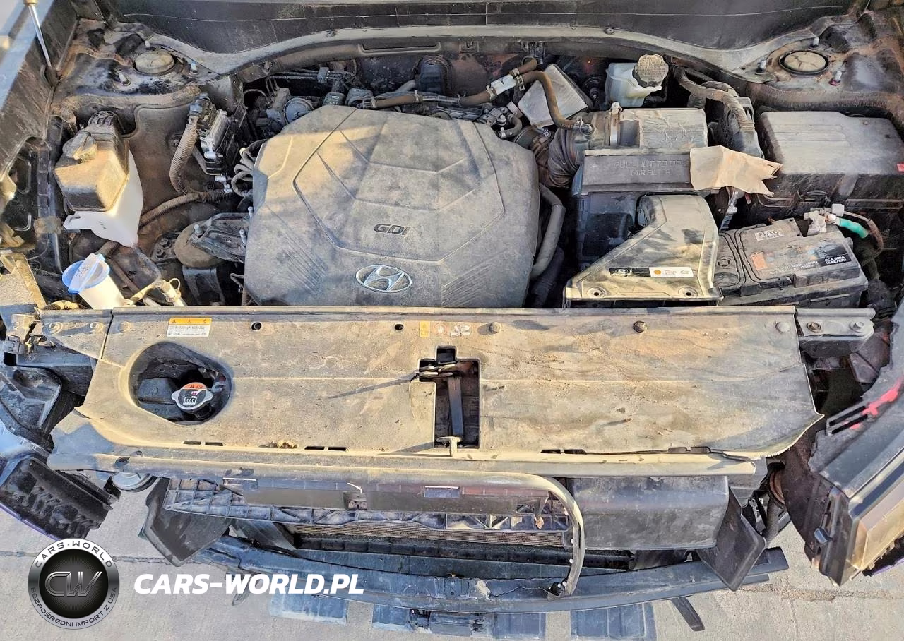 2024 Hyundai Palisade Sel VIN:KM8R2DGE4RU716265 - 11