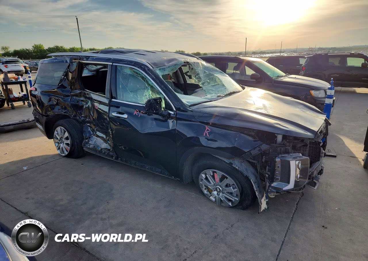 2024 Hyundai Palisade Sel VIN:KM8R2DGE4RU716265 - 4