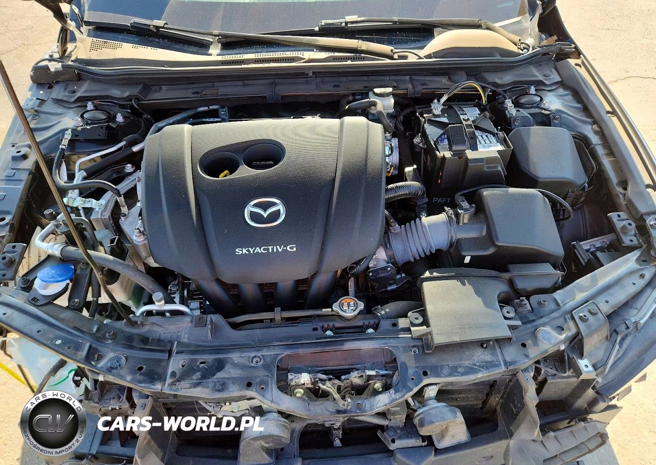 2019 Mazda 3 Premium VIN:JM1BPANMXK1141936 - 10