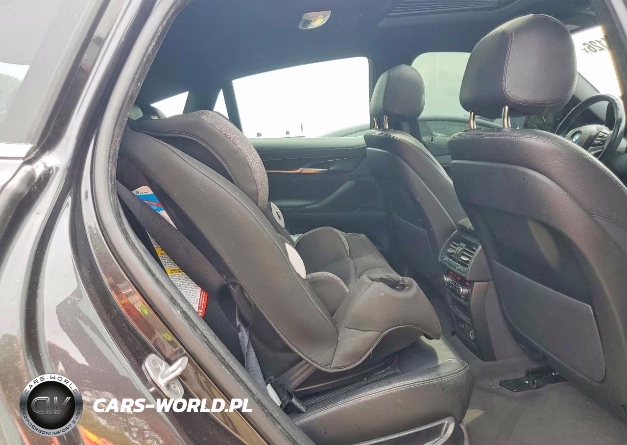 2017 BMW X6 Sdrive35I VIN:5UXKU0C38H0G69066 - 10