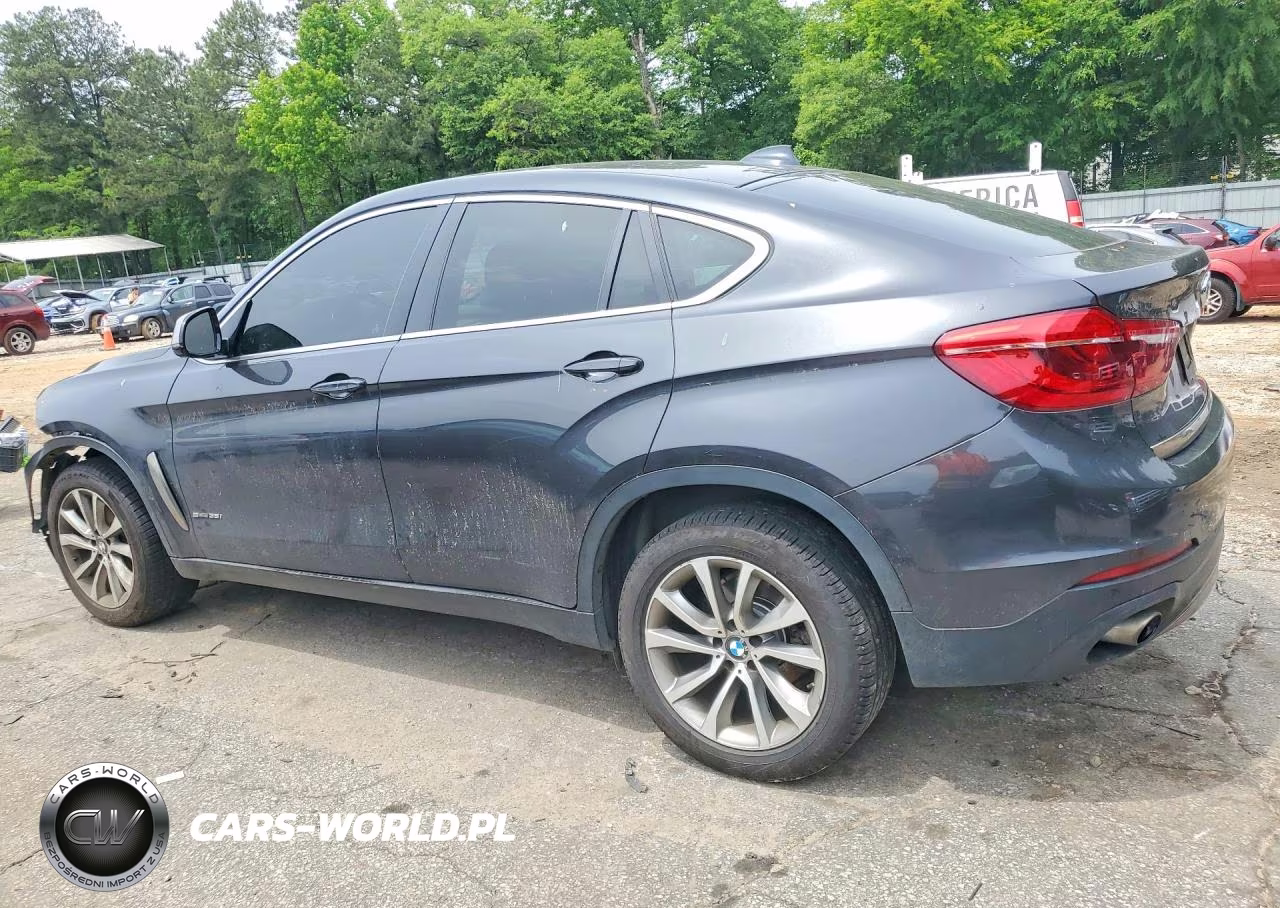 2017 BMW X6 Sdrive35I VIN:5UXKU0C38H0G69066 - 2