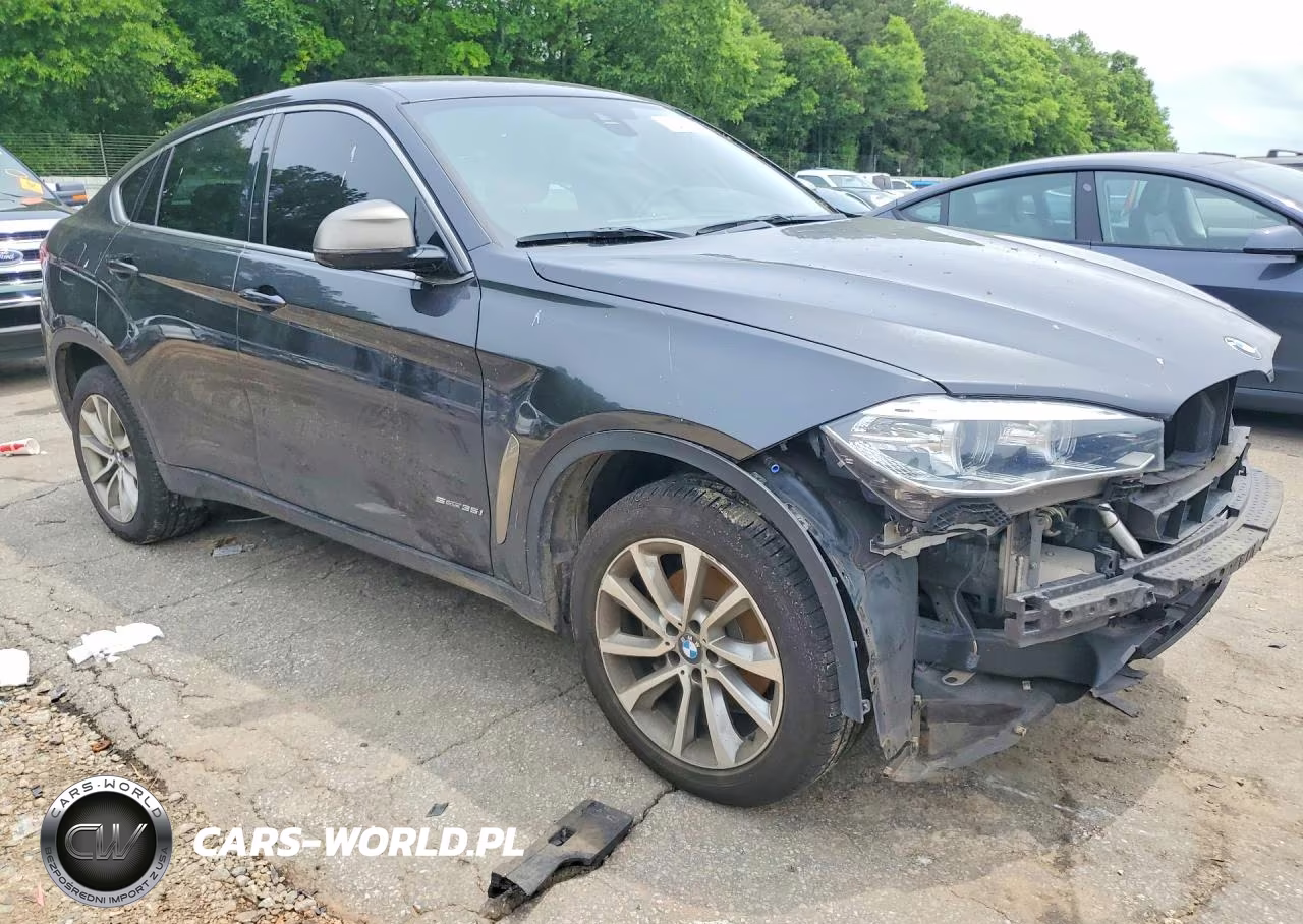 2017 BMW X6 Sdrive35I VIN:5UXKU0C38H0G69066 - 4
