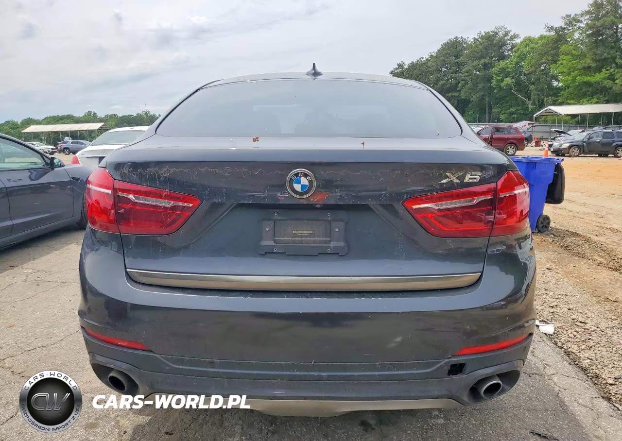 2017 BMW X6 Sdrive35I VIN:5UXKU0C38H0G69066 - 6