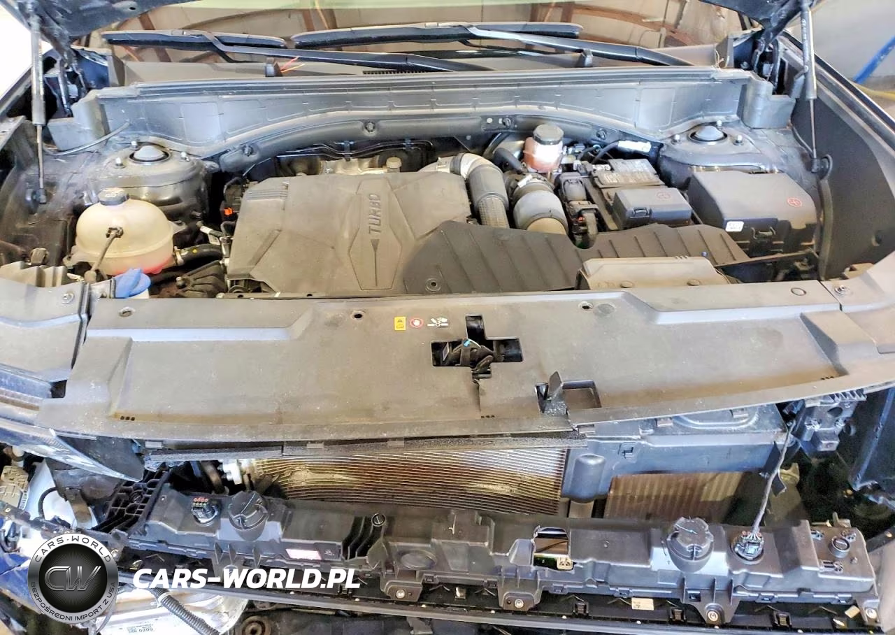 2024 Hyundai Santa Fe Calligraphy VIN:5NMP5DGL1RH009780 - 12