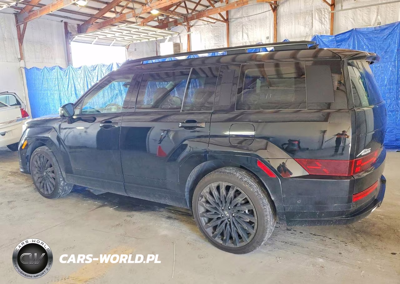 2024 Hyundai Santa Fe Calligraphy VIN:5NMP5DGL1RH009780 - 2