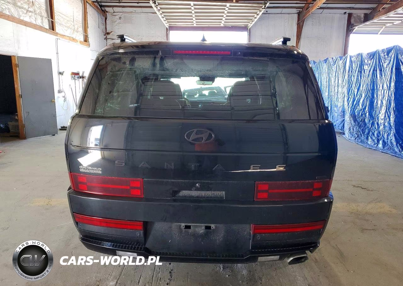 2024 Hyundai Santa Fe Calligraphy VIN:5NMP5DGL1RH009780 - 6