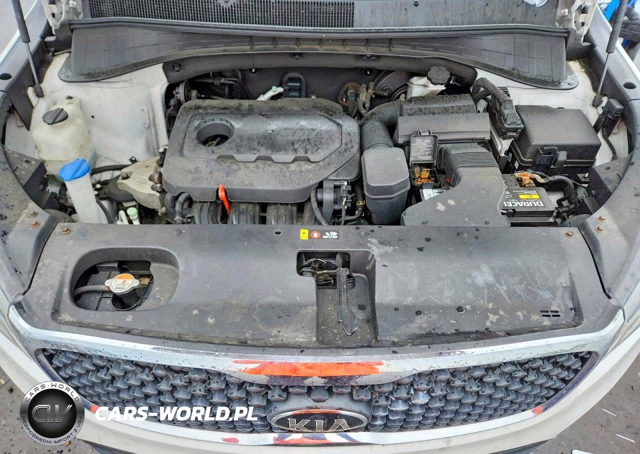 2017 Kia Sorento Lx VIN:5XYPGDA37HG218968 - 12