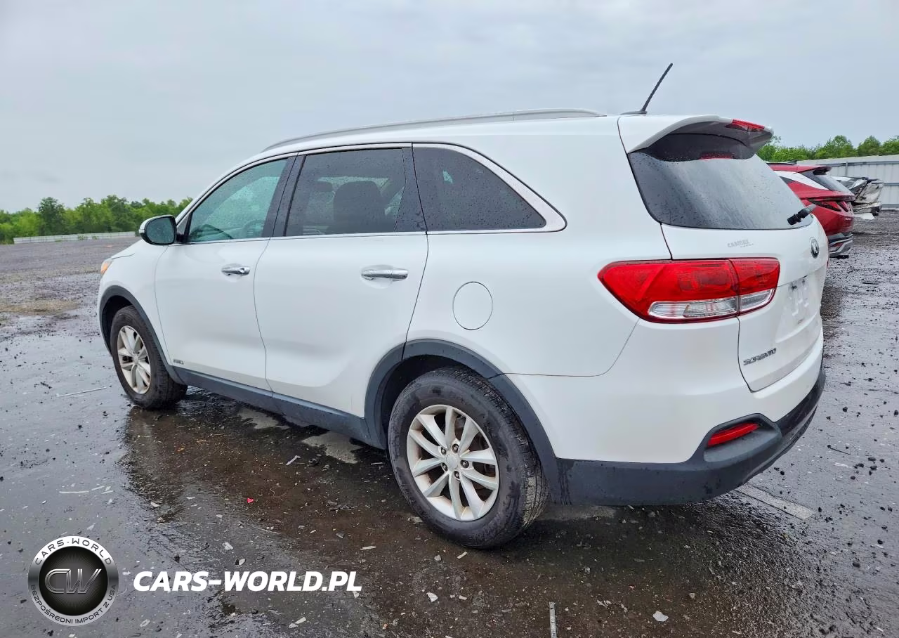 2017 Kia Sorento Lx VIN:5XYPGDA37HG218968 - 2