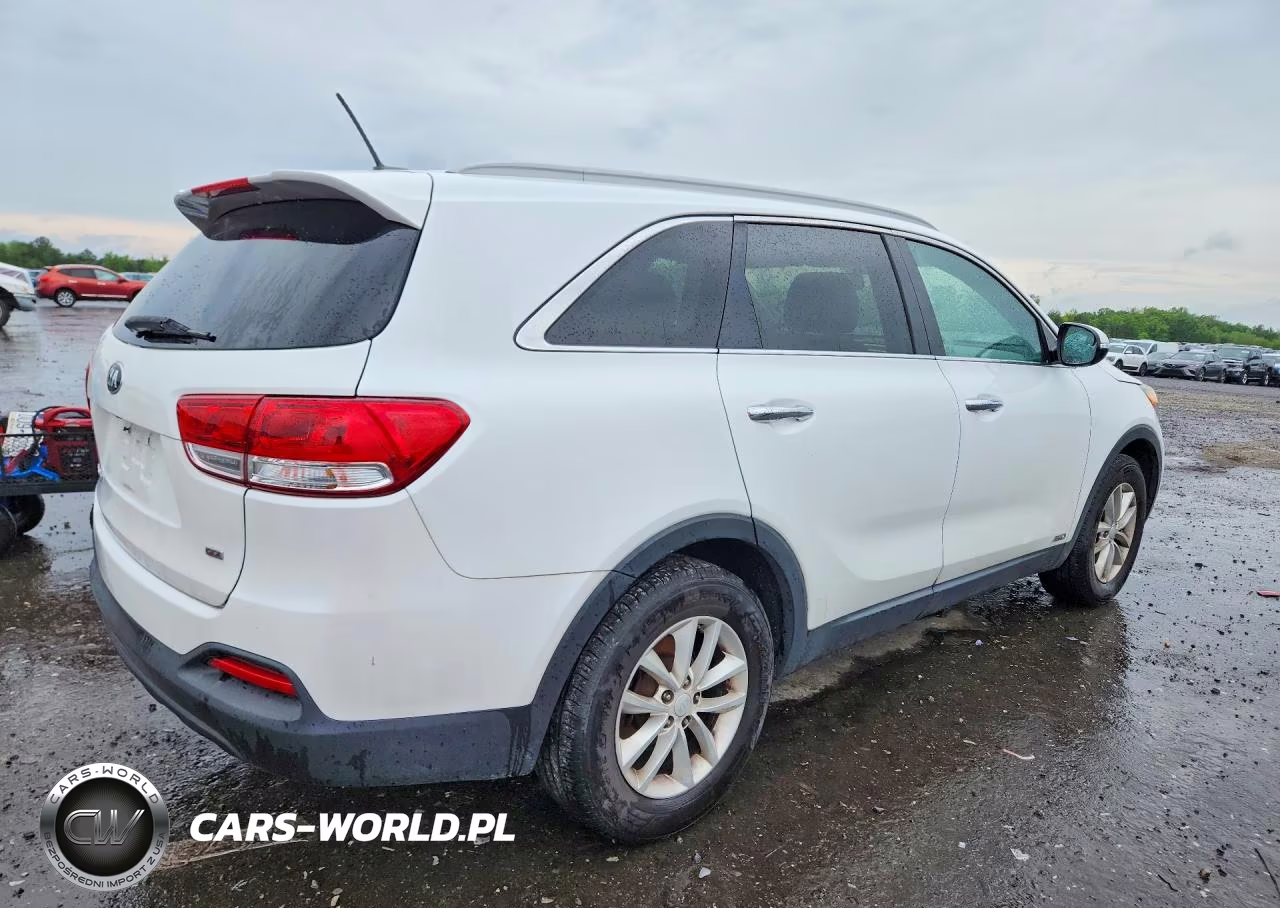 2017 Kia Sorento Lx VIN:5XYPGDA37HG218968 - 3