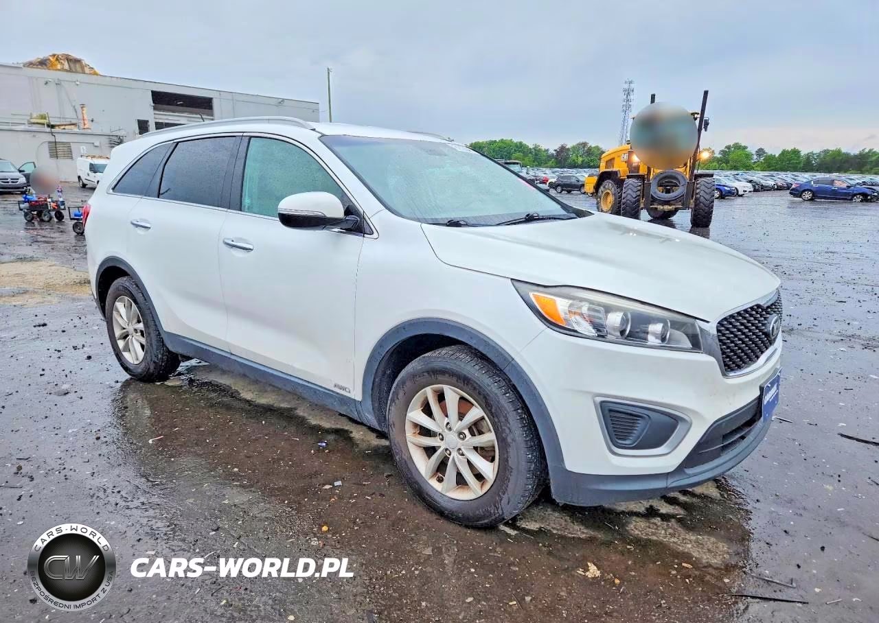 2017 Kia Sorento Lx VIN:5XYPGDA37HG218968 - 4