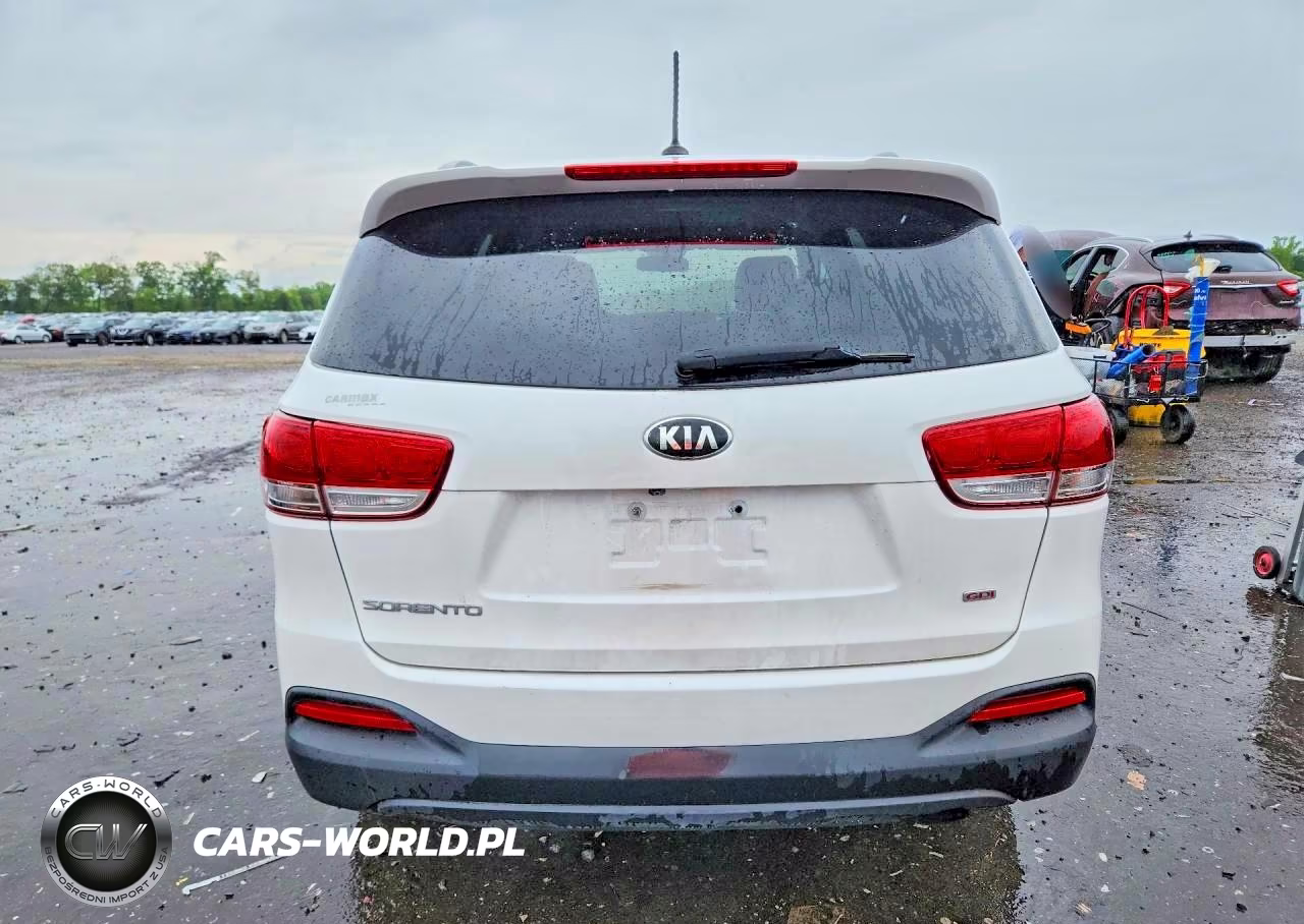 2017 Kia Sorento Lx VIN:5XYPGDA37HG218968 - 6