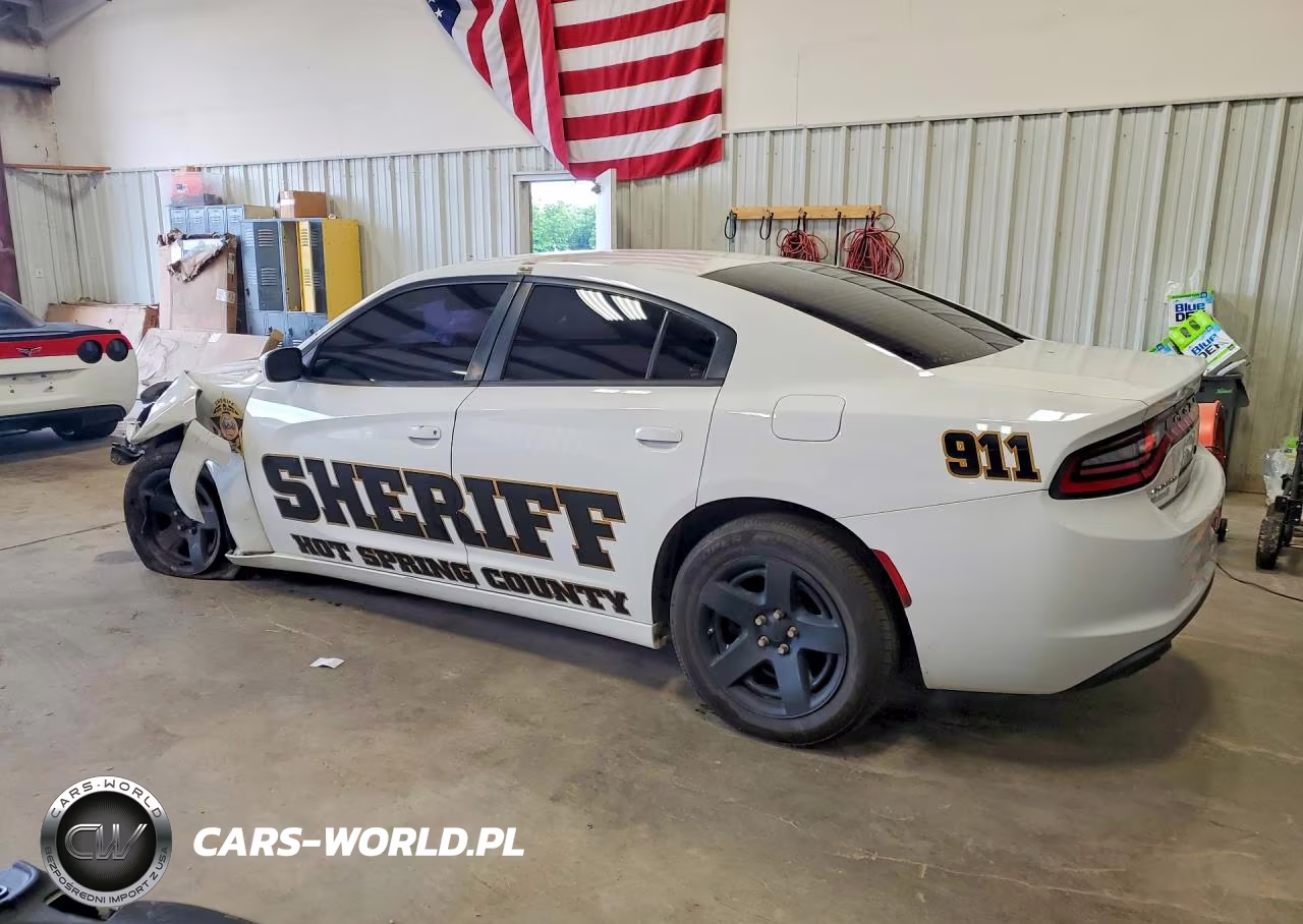 2015 Dodge Charger Police VIN:2C3CDXAG7FH916771 - 2