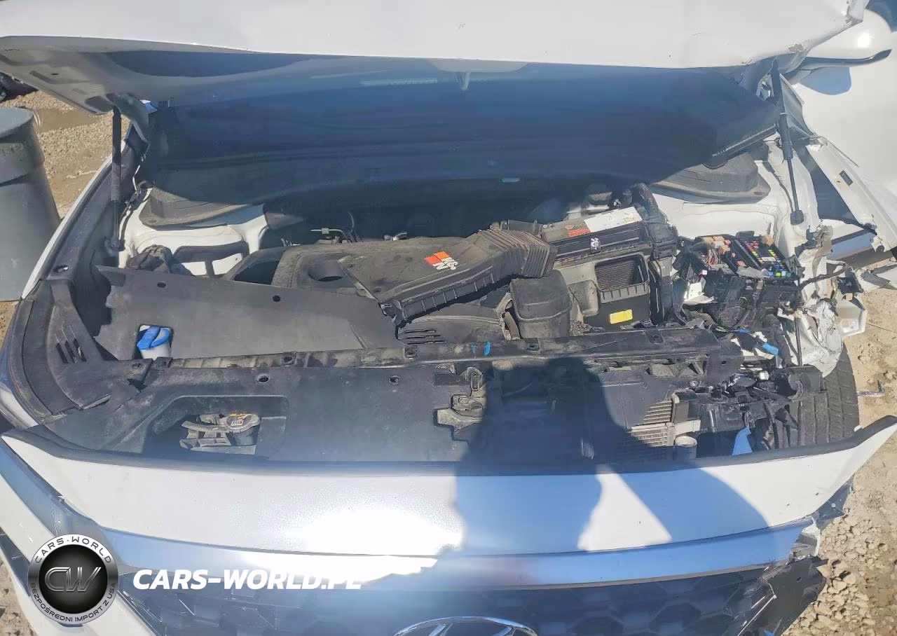 2019 Hyundai Santa Fe VIN:5NMS33AD5KH055792 - 12