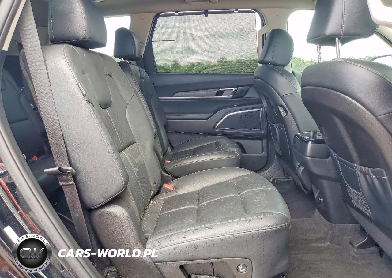 2023 Kia Telluride Sx VIN:5XYP54GC6PG370493 - 11